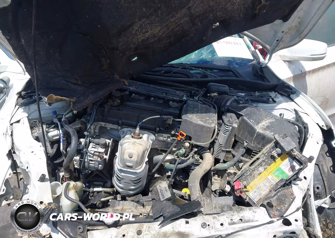 2014 Honda Accord Ex-L VIN:1HGCR2F88EA224244 - 10