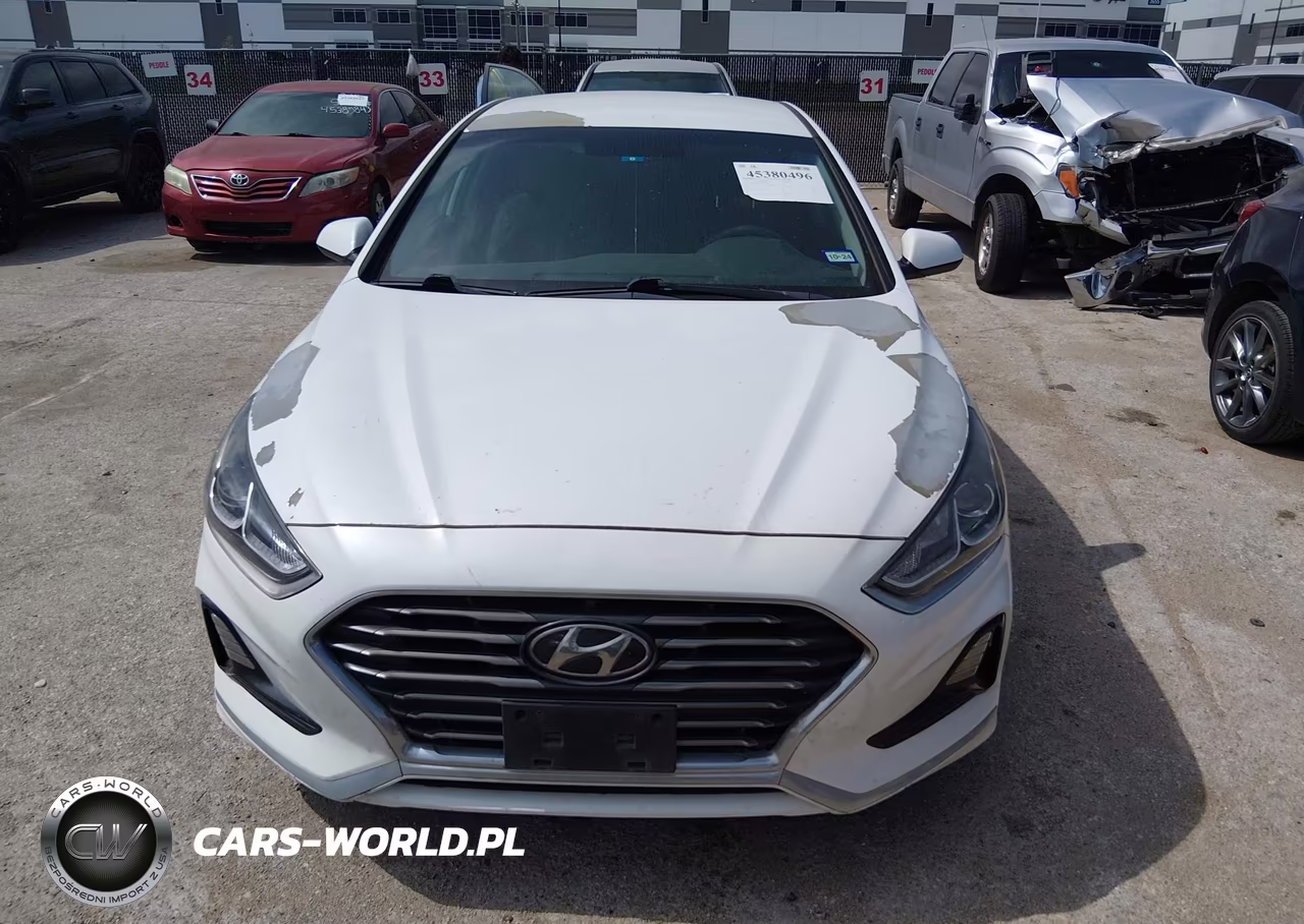 2019 Hyundai Sonata Se VIN:5NPE24AF6KH767478 - 12