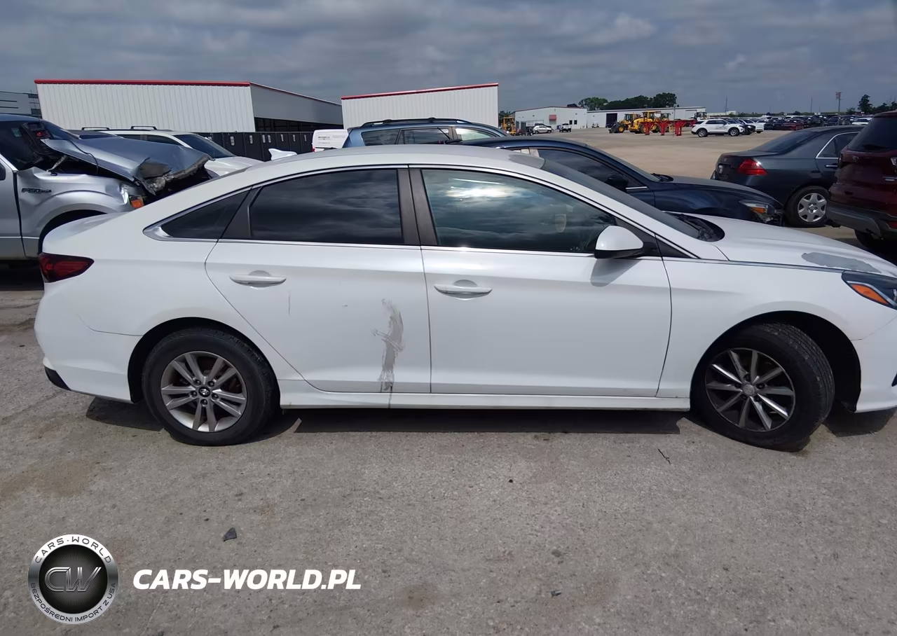 2019 Hyundai Sonata Se VIN:5NPE24AF6KH767478 - 13