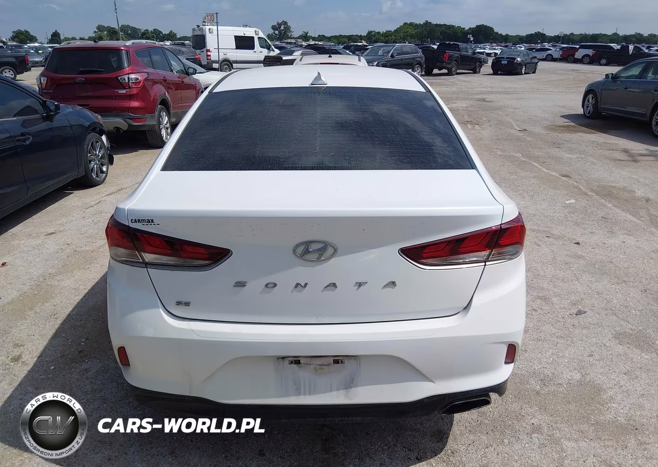 2019 Hyundai Sonata Se VIN:5NPE24AF6KH767478 - 16