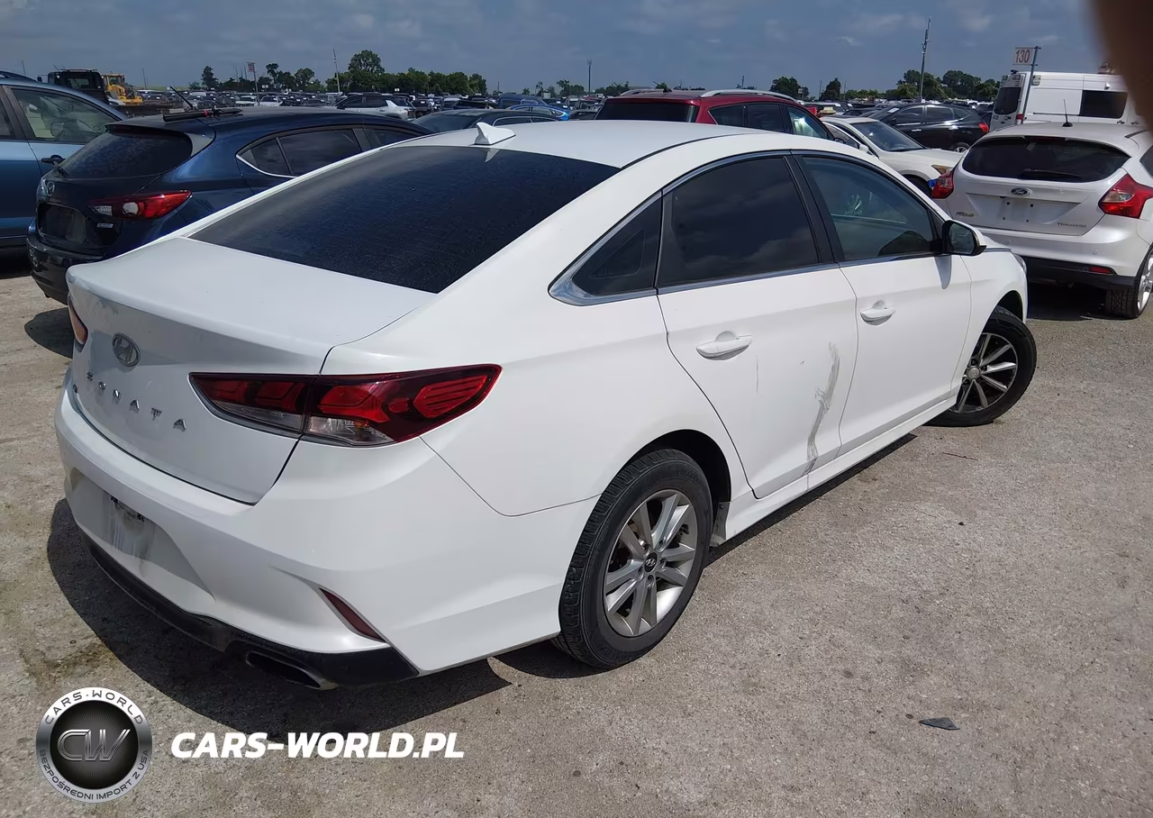 2019 Hyundai Sonata Se VIN:5NPE24AF6KH767478 - 4