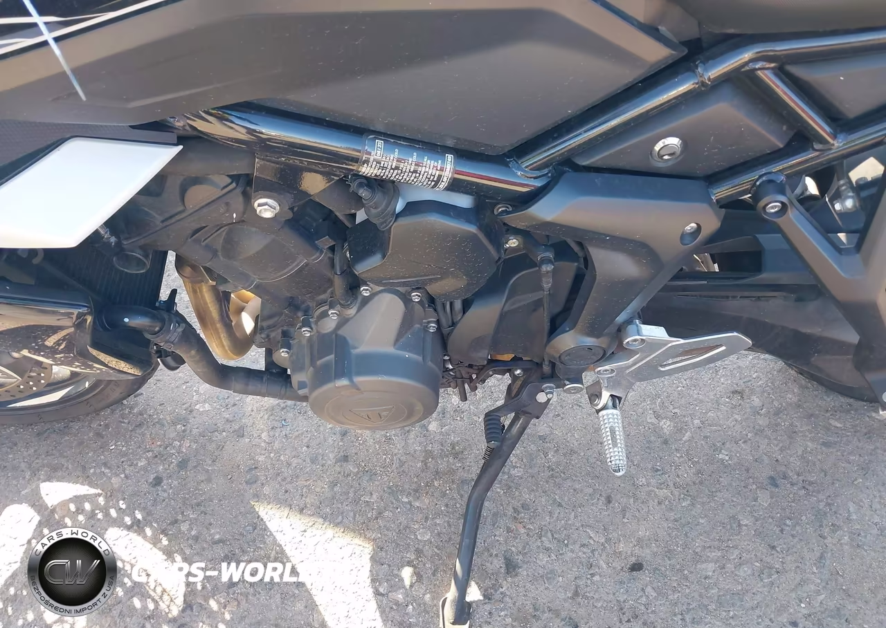 2024 Triumph Motorcycle Tiger Sport 660 VIN:SMTL20UL6RTBM9749 - 9