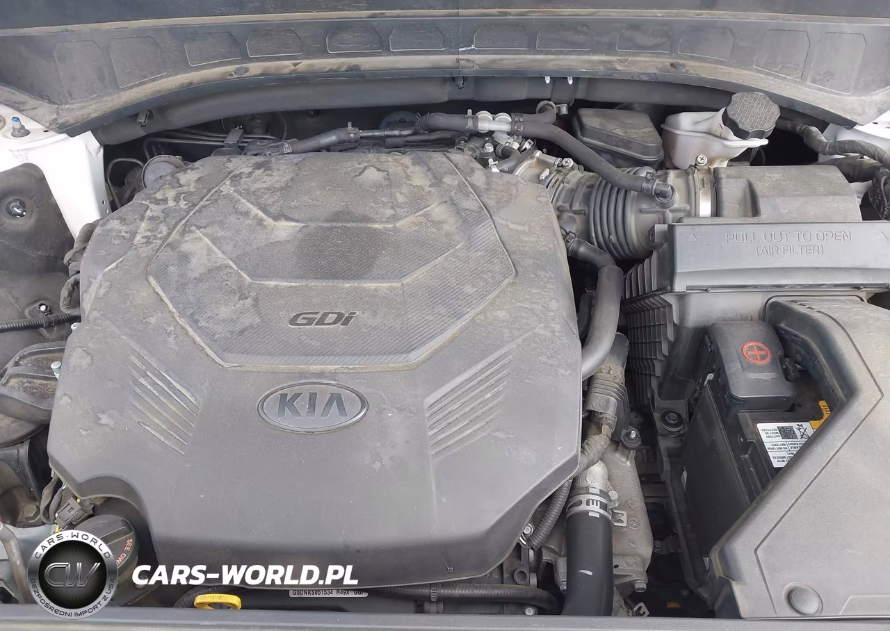 2020 Kia Telluride Lx VIN:5XYP24HC2LG050654 - 10