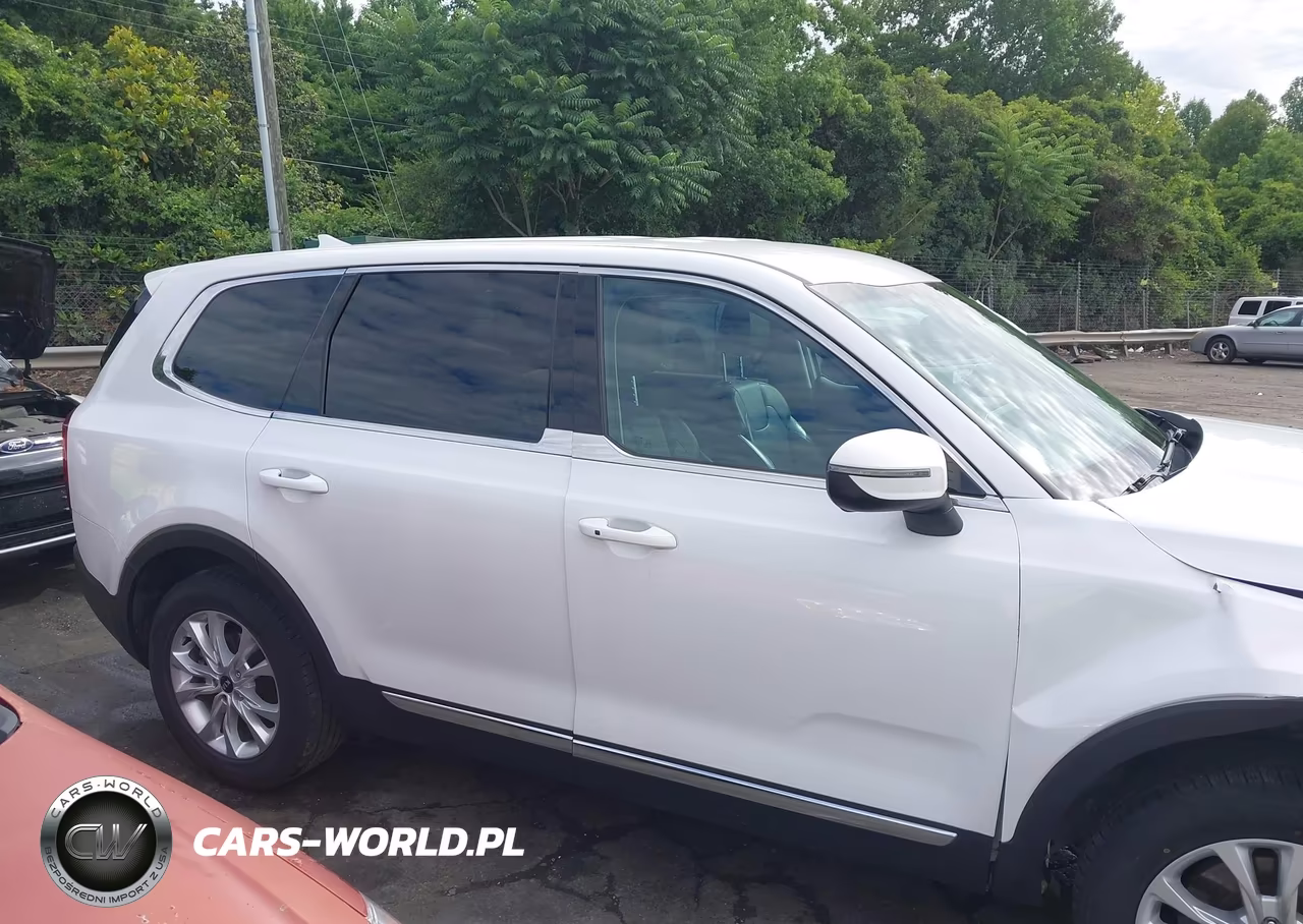 2020 Kia Telluride Lx VIN:5XYP24HC2LG050654 - 13