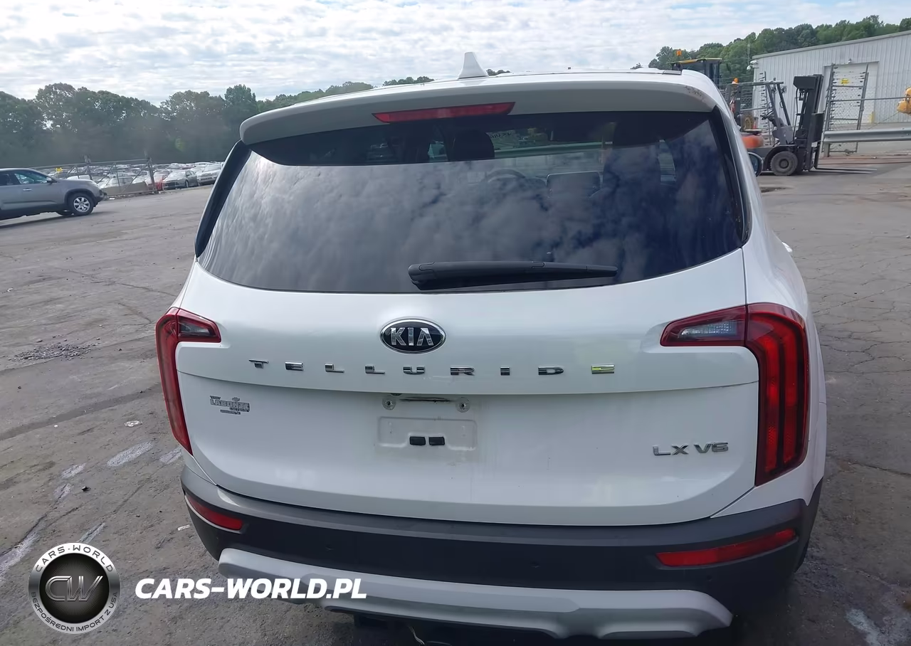 2020 Kia Telluride Lx VIN:5XYP24HC2LG050654 - 16