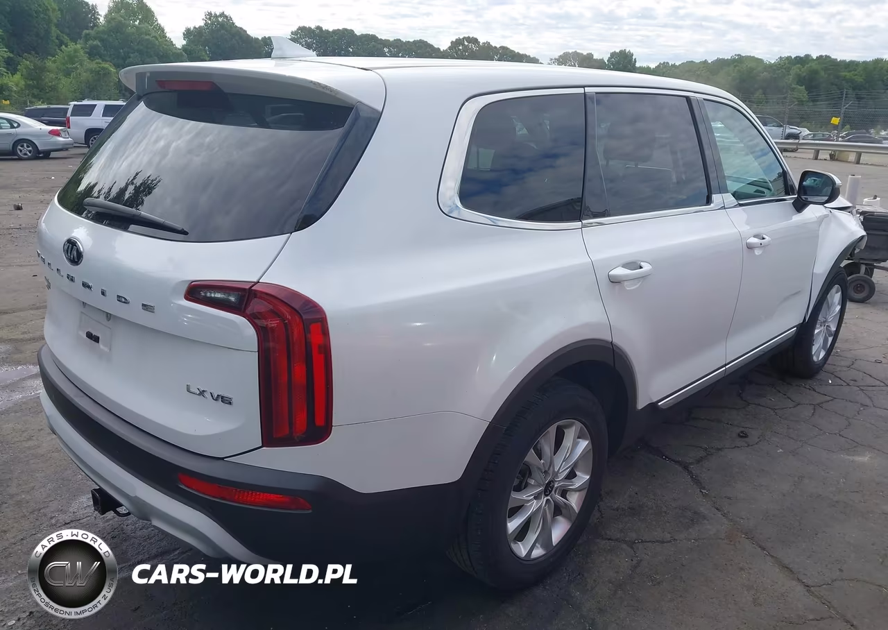 2020 Kia Telluride Lx VIN:5XYP24HC2LG050654 - 4
