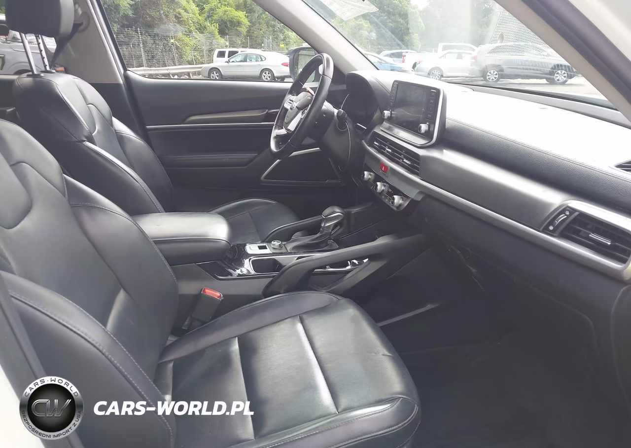 2020 Kia Telluride Lx VIN:5XYP24HC2LG050654 - 5