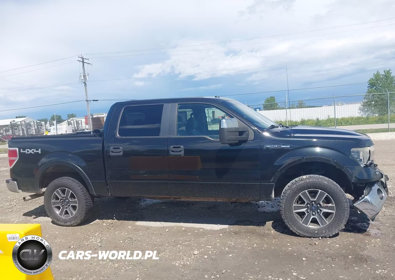 2011 Ford F-150 Xlt VIN:1FTFW1EF4BKD02894 - 13