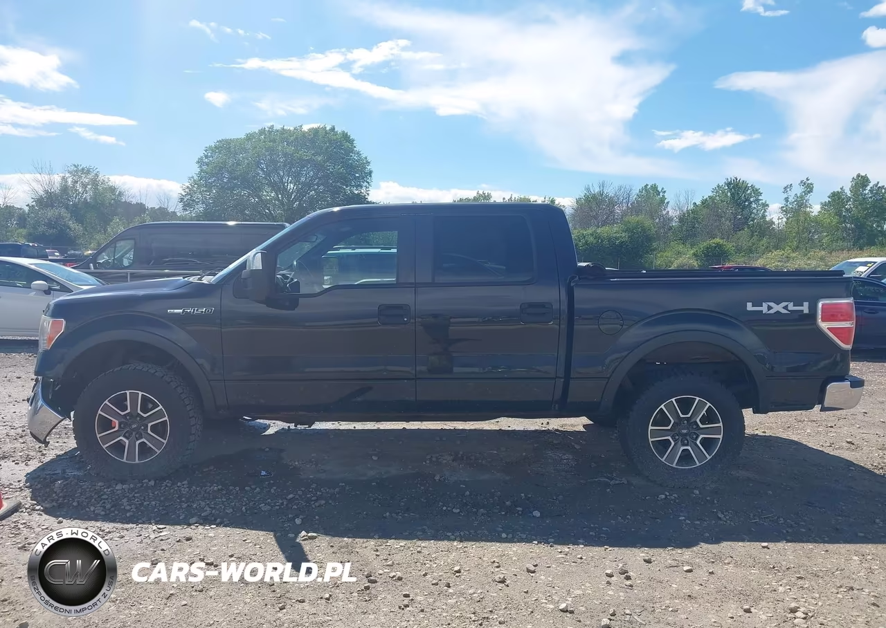 2011 Ford F-150 Xlt VIN:1FTFW1EF4BKD02894 - 14