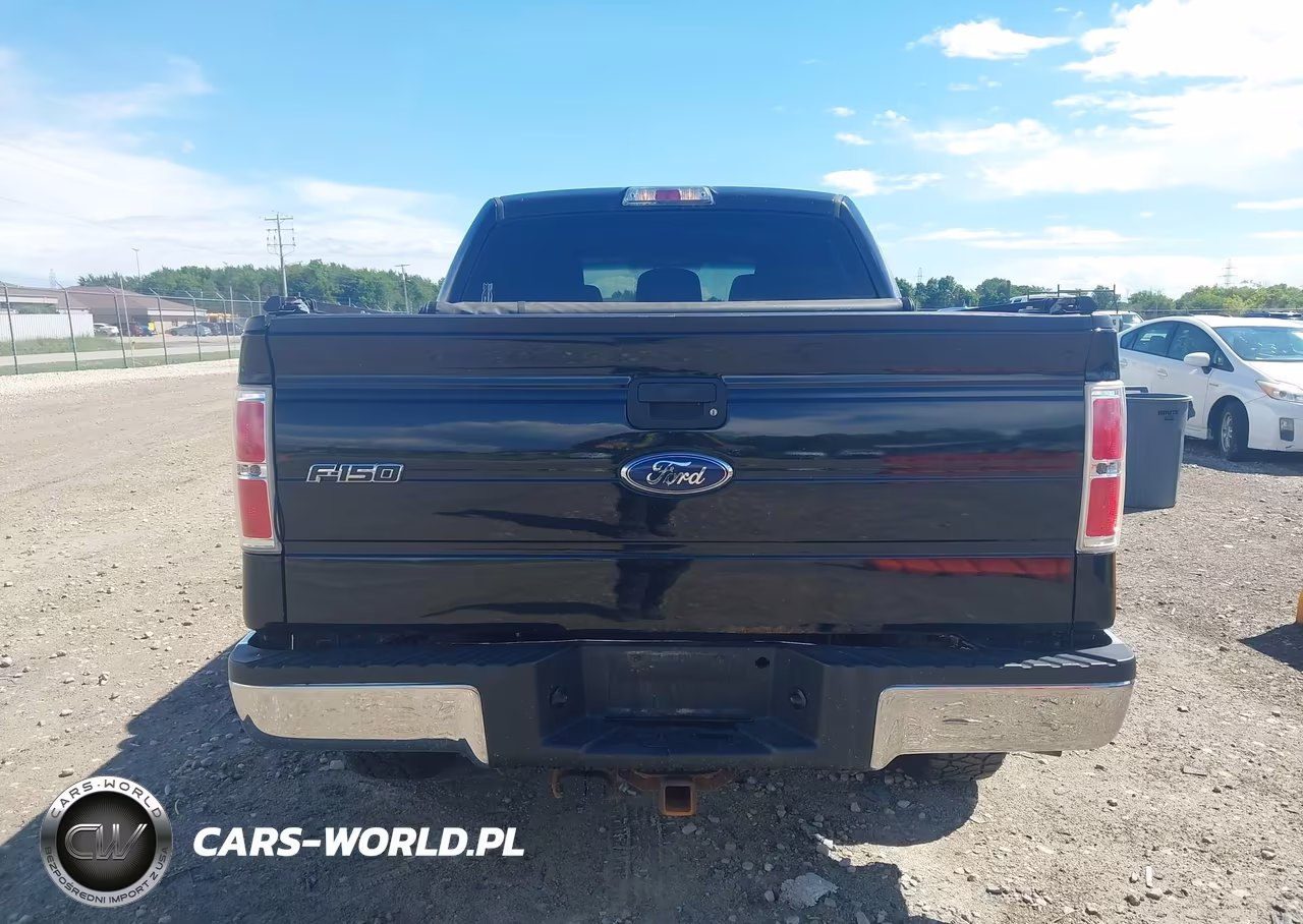 2011 Ford F-150 Xlt VIN:1FTFW1EF4BKD02894 - 16