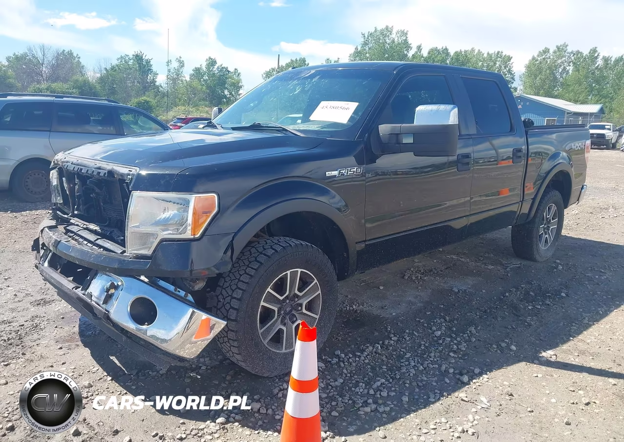 2011 Ford F-150 Xlt VIN:1FTFW1EF4BKD02894 - 2