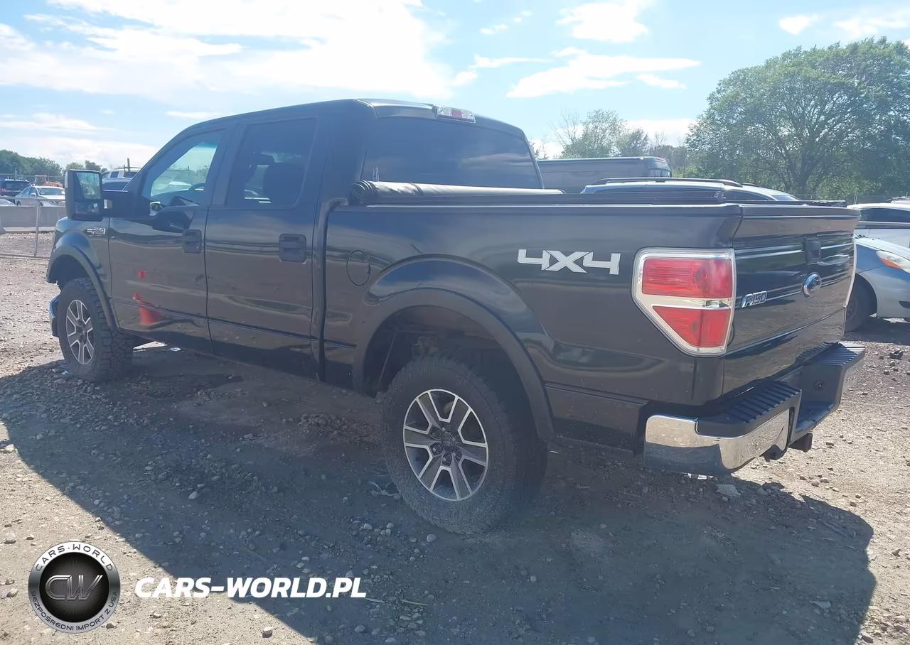 2011 Ford F-150 Xlt VIN:1FTFW1EF4BKD02894 - 3