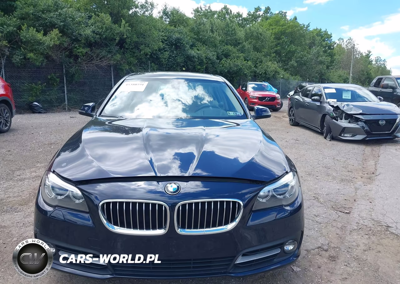 2016 BMW 528I xDrive VIN:WBA5A7C55GG150106 - 13