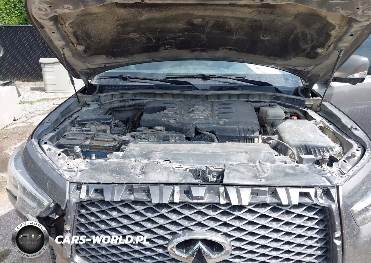 2019 Infiniti Qx80 Luxe VIN:JN8AZ2NE6K9235239 - 10