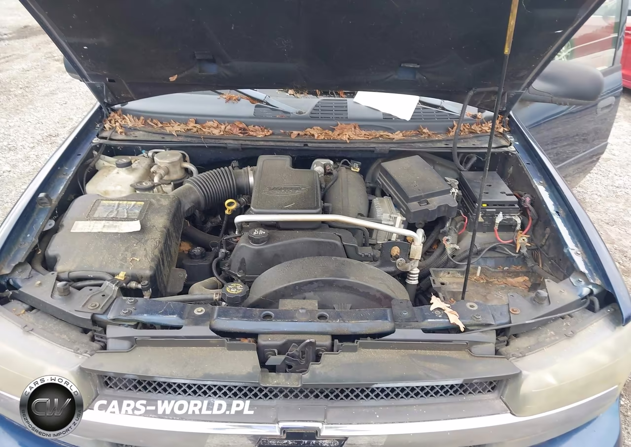 2003 Chevrolet Trailblazer Ext Lt VIN:1GNES16S336161773 - 10