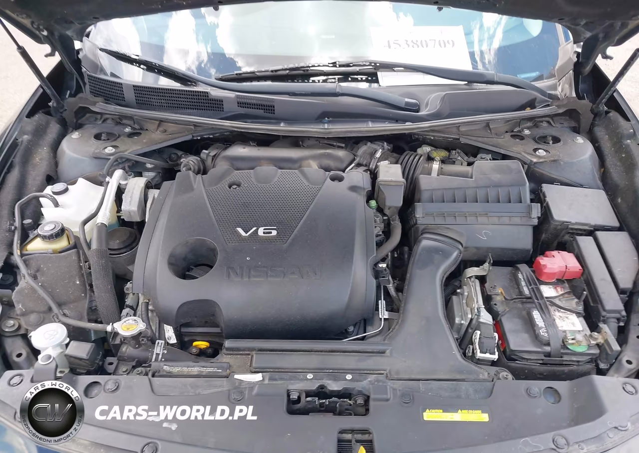 NISSAN MAXIMA 3.5 VIN:1N4AA6AP5HC444538 - 10