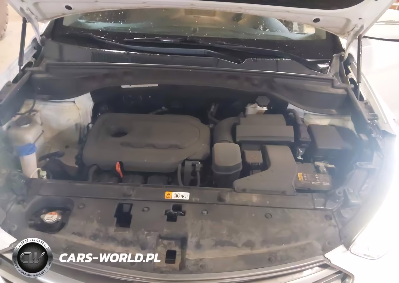 2018 Hyundai Santa Fe Sport 2.4L VIN:5XYZU3LB2JG524904 - 10