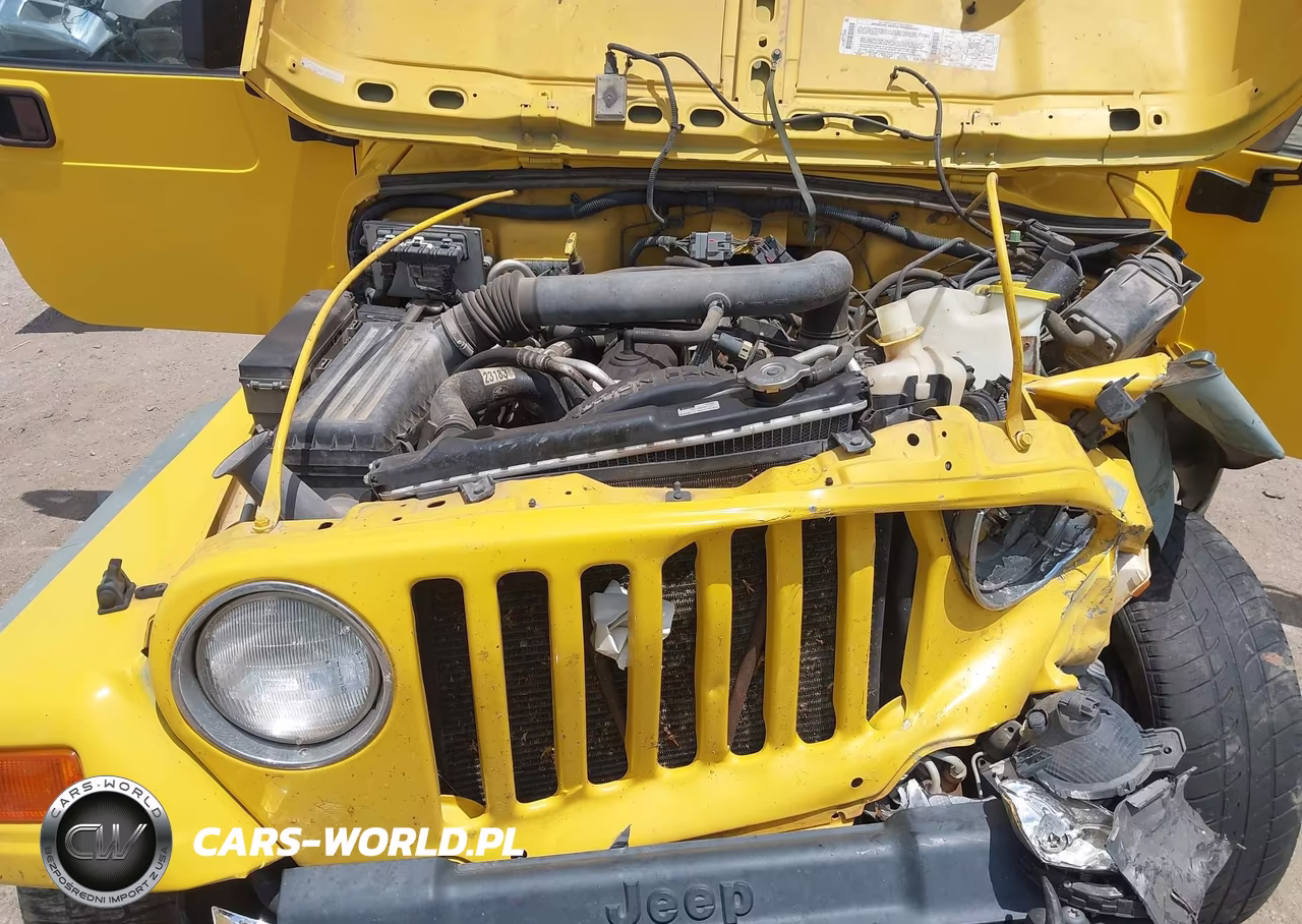 2001 Jeep Wrangler Sport VIN:1J4FA49S21P306607 - 10