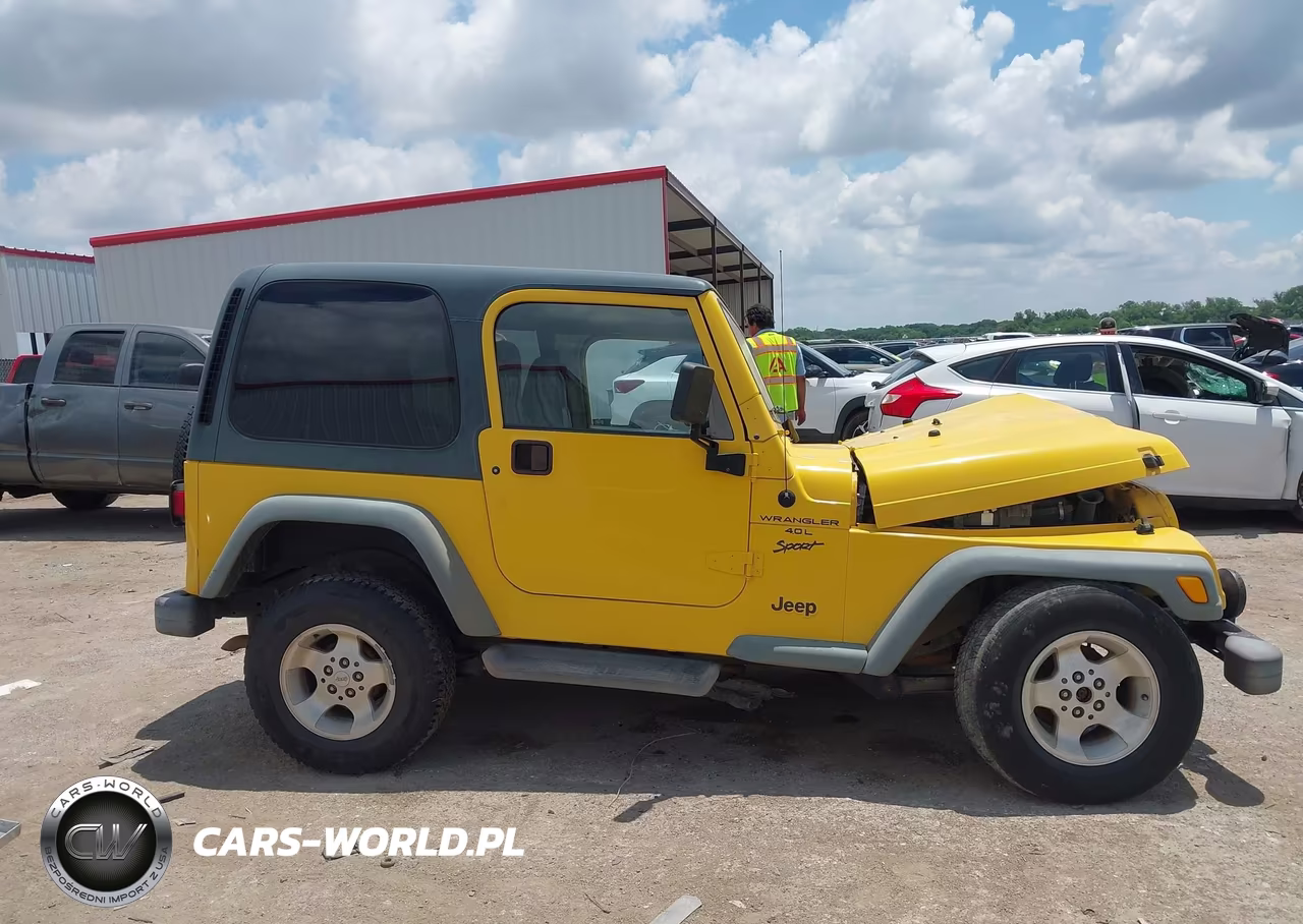 2001 Jeep Wrangler Sport VIN:1J4FA49S21P306607 - 13
