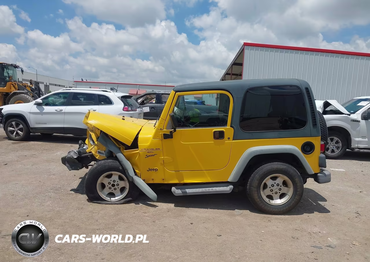 2001 Jeep Wrangler Sport VIN:1J4FA49S21P306607 - 14