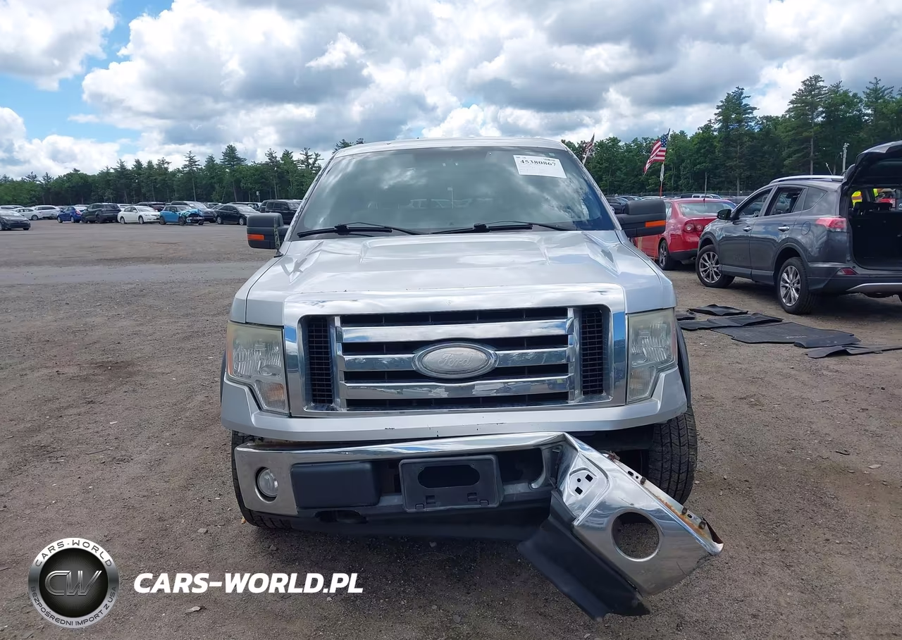 2009 Ford F-150 Fx4-Lariat-Xl-Xlt VIN:1FTPX14V59FB14981 - 13