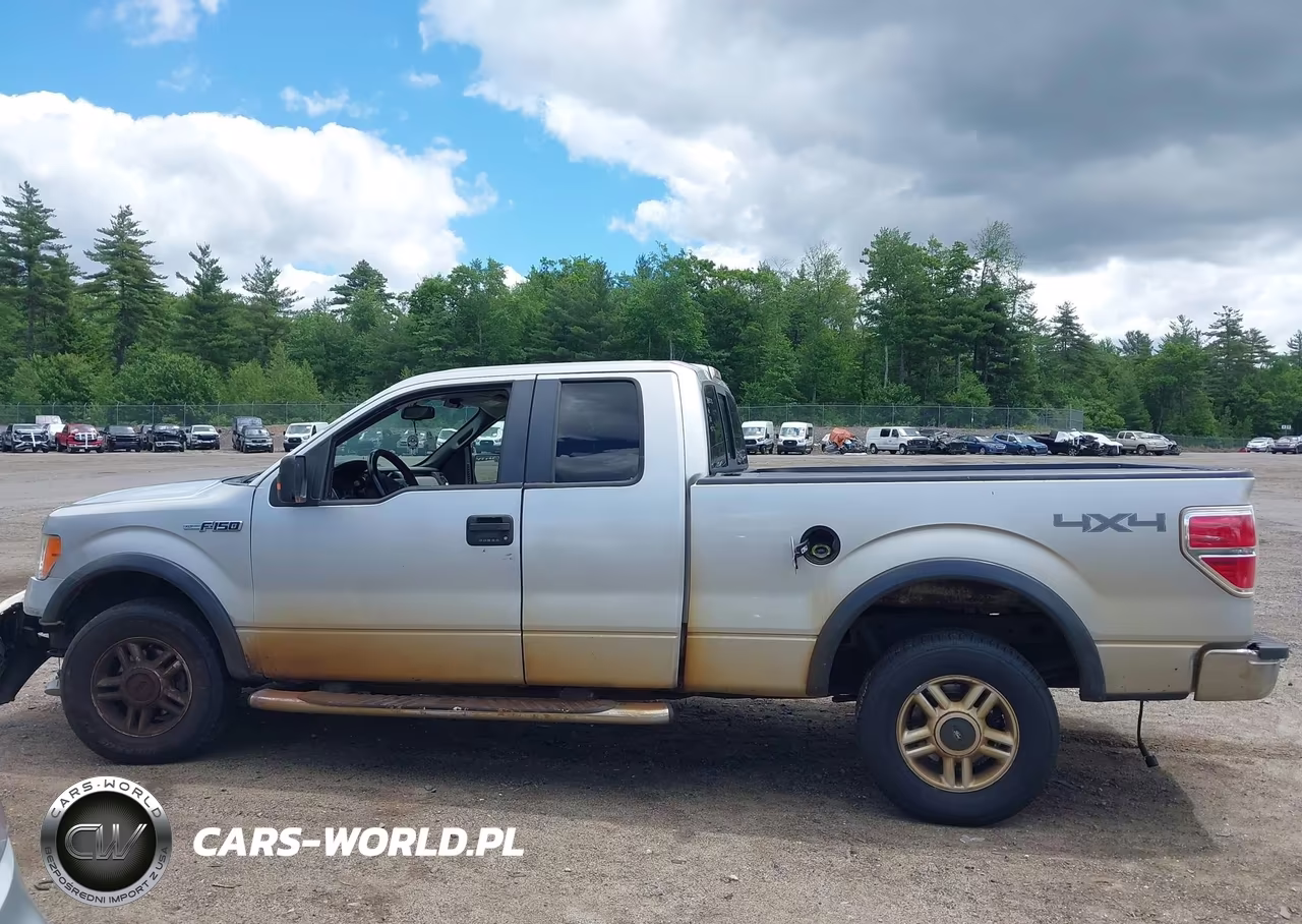 2009 Ford F-150 Fx4-Lariat-Xl-Xlt VIN:1FTPX14V59FB14981 - 15