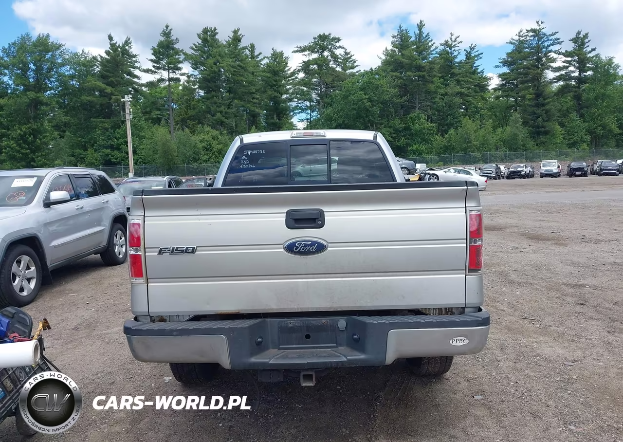 2009 Ford F-150 Fx4-Lariat-Xl-Xlt VIN:1FTPX14V59FB14981 - 17