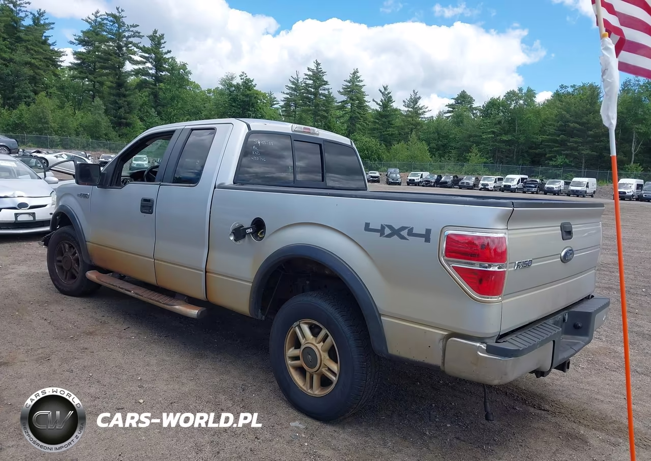 2009 Ford F-150 Fx4-Lariat-Xl-Xlt VIN:1FTPX14V59FB14981 - 3