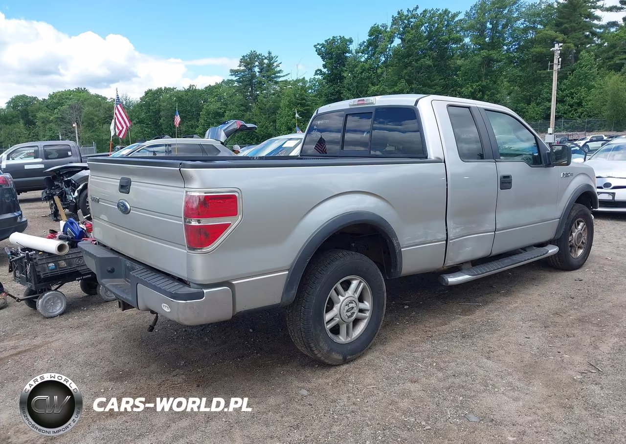 2009 Ford F-150 Fx4-Lariat-Xl-Xlt VIN:1FTPX14V59FB14981 - 4
