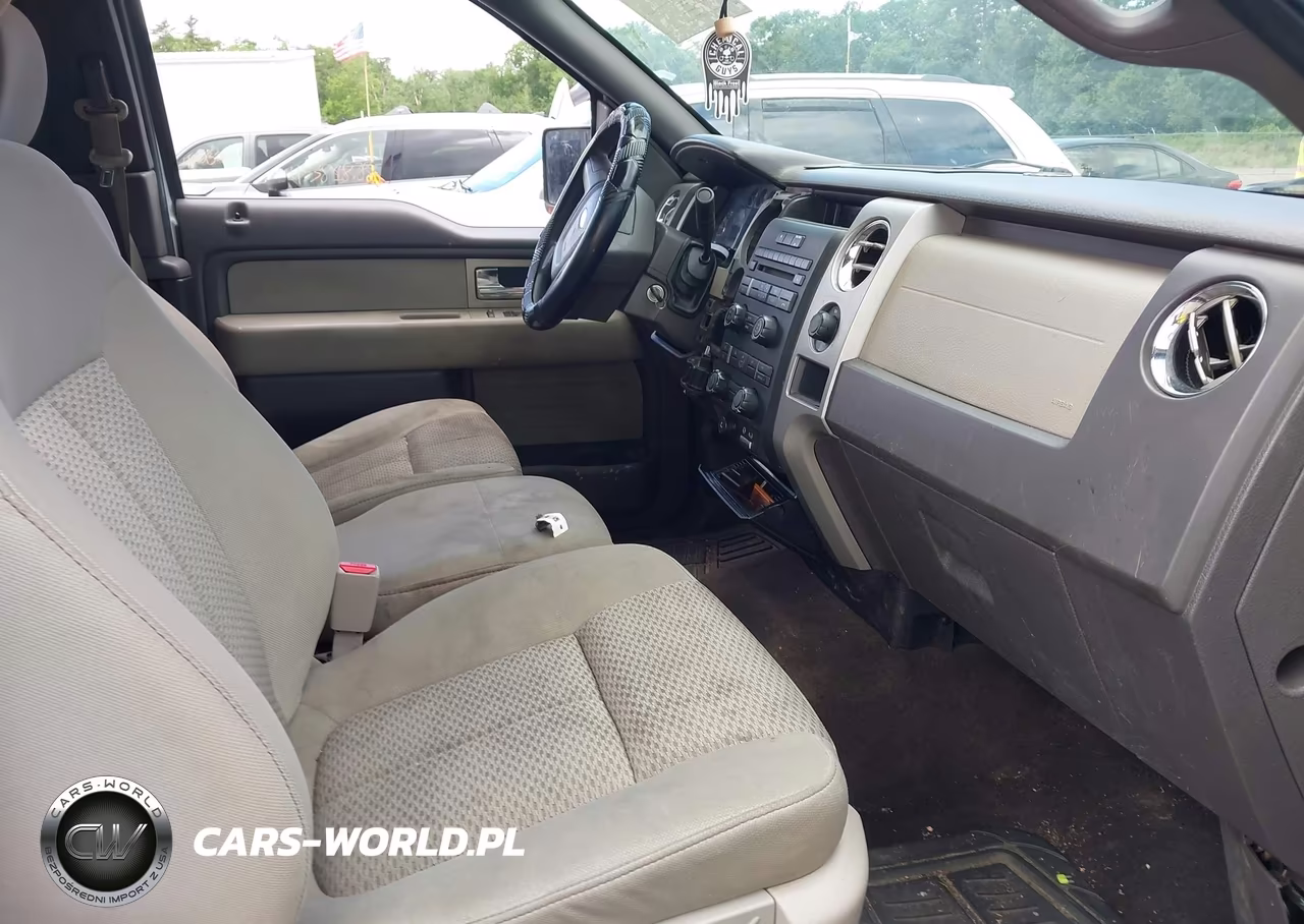 2009 Ford F-150 Fx4-Lariat-Xl-Xlt VIN:1FTPX14V59FB14981 - 5