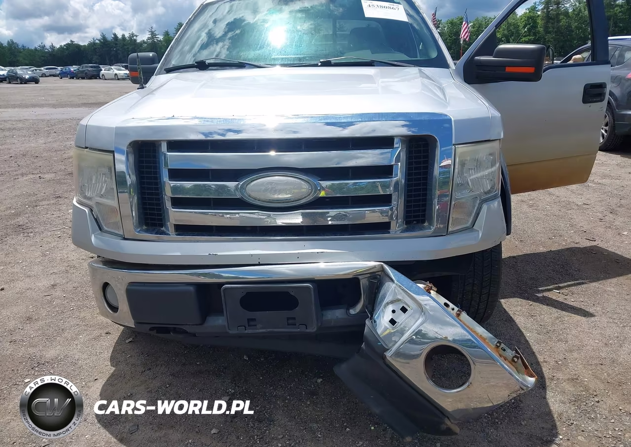 2009 Ford F-150 Fx4-Lariat-Xl-Xlt VIN:1FTPX14V59FB14981 - 6