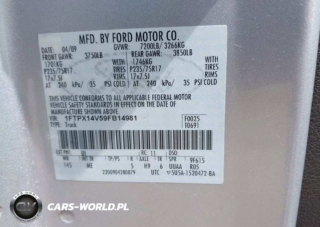 2009 Ford F-150 Fx4-Lariat-Xl-Xlt VIN:1FTPX14V59FB14981 - 9
