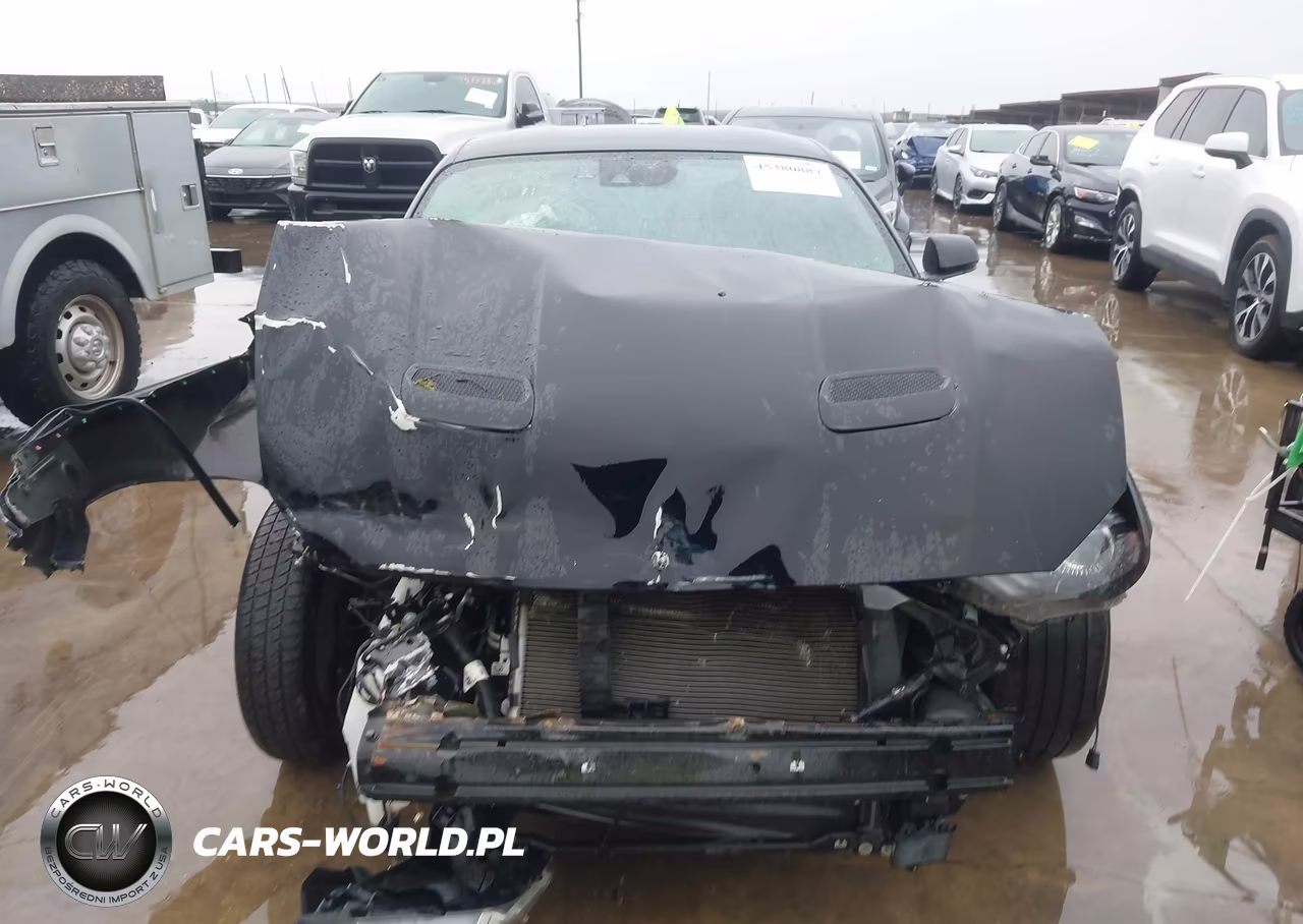 2021 Ford Mustang Gt Premium Fastback VIN:1FA6P8CF9M5135237 - 13