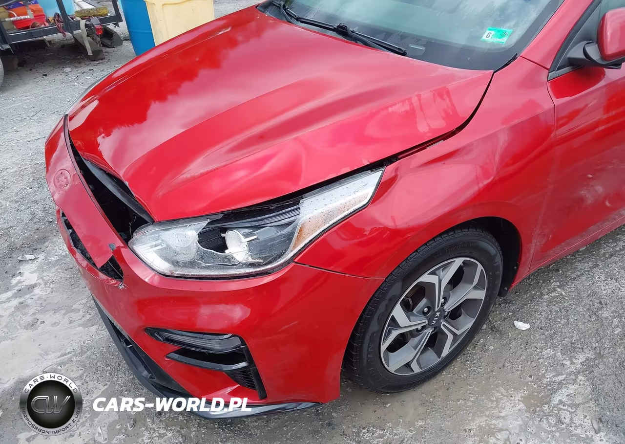 2019 Kia Forte Lxs VIN:3KPF24AD8KE105022 - 17