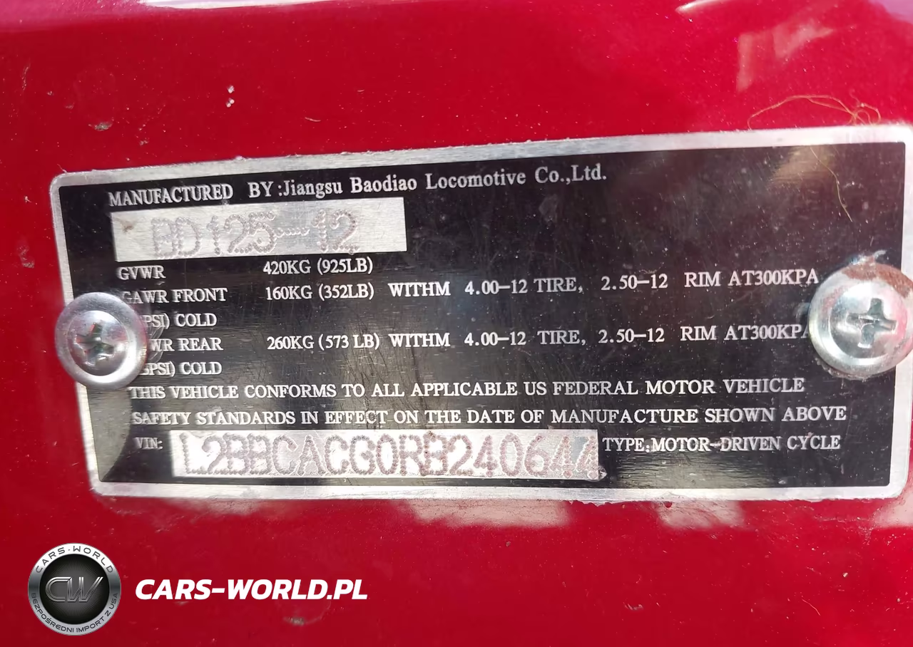 2024 Other Other VIN:L2BBCACG0RB240644 - 9