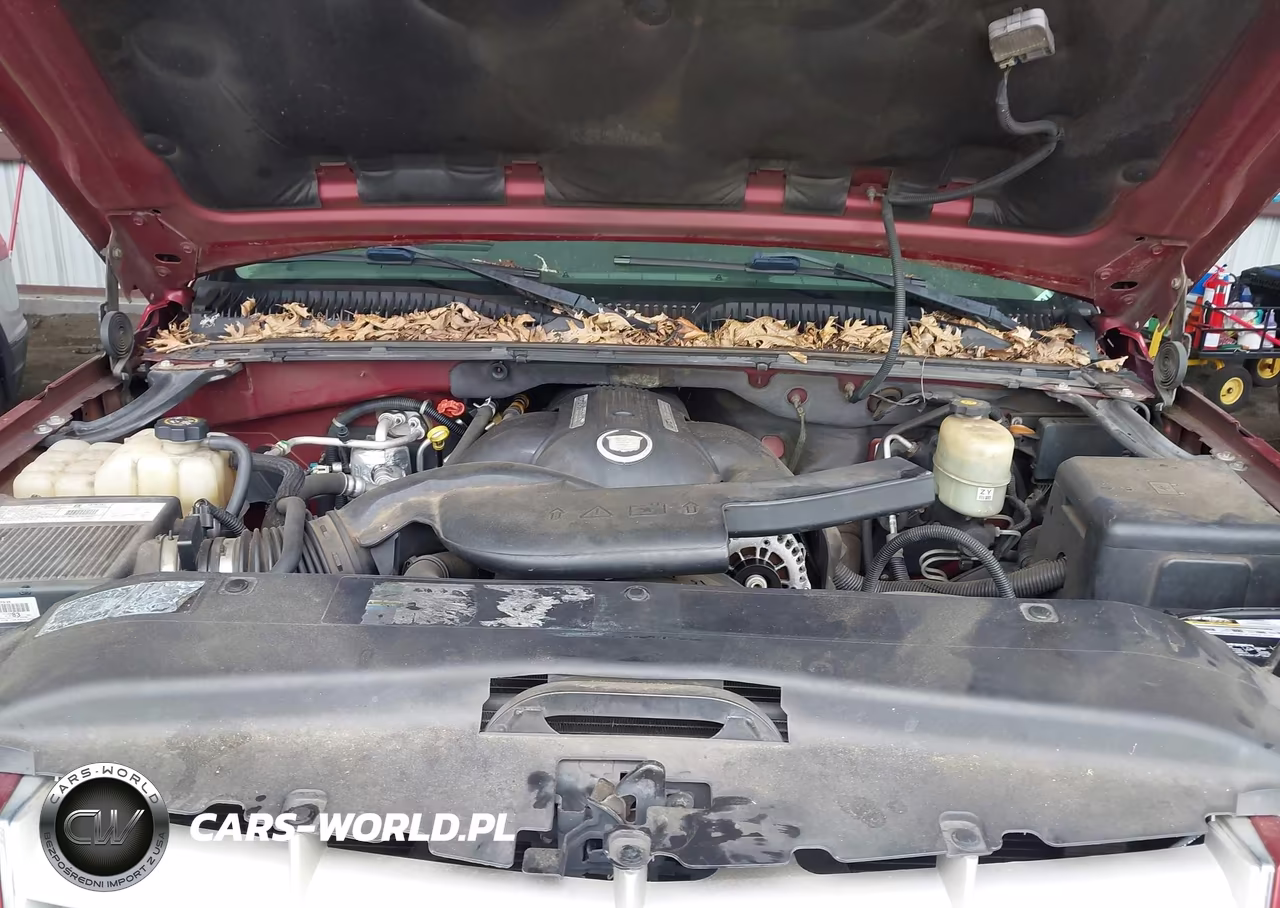 2002 Cadillac Escalade Standard VIN:1GYEK63N02R324150 - 10