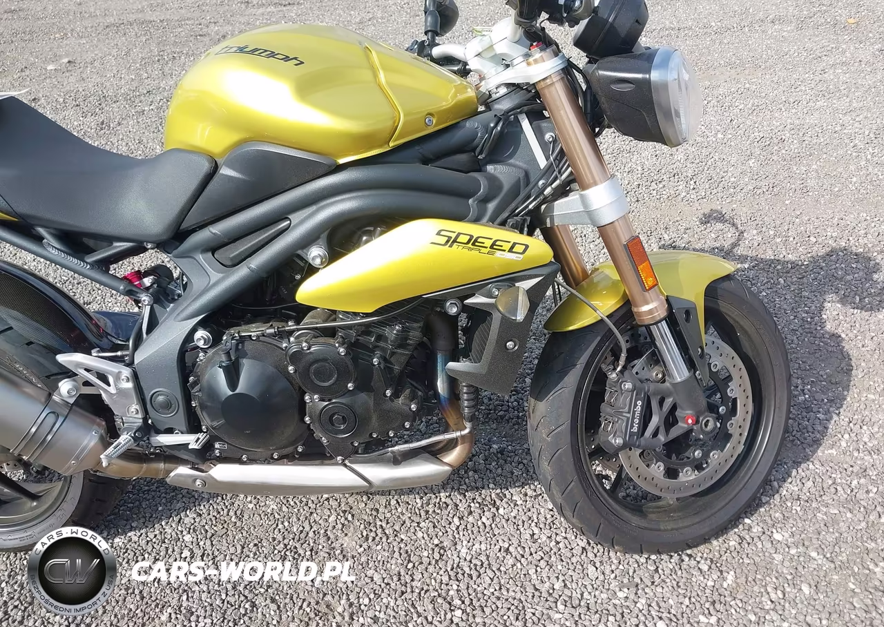 2013 Triumph Motorcycle Speed Triple Abs VIN:SMTN01PK2DT555931 - 8