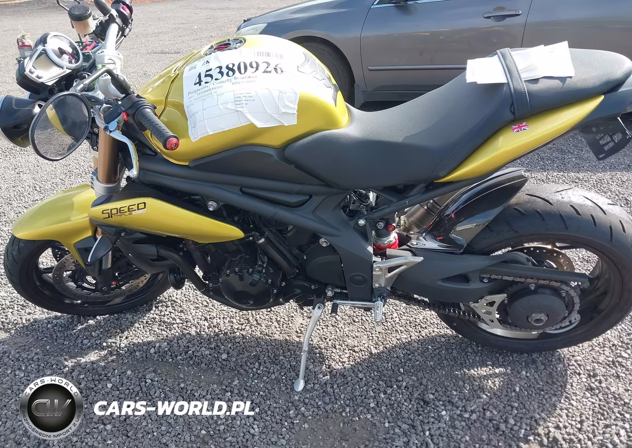 2013 Triumph Motorcycle Speed Triple Abs VIN:SMTN01PK2DT555931 - 9