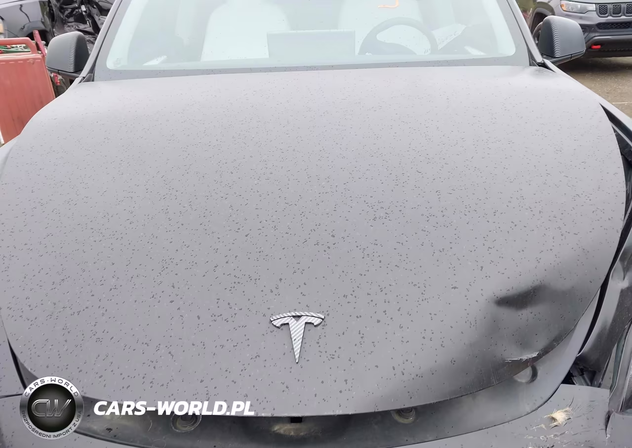 2023 Tesla Model Y Awd-Long Range Dual Motor All-Wheel Drive VIN:7SAYGDEE3PF868339 - 10