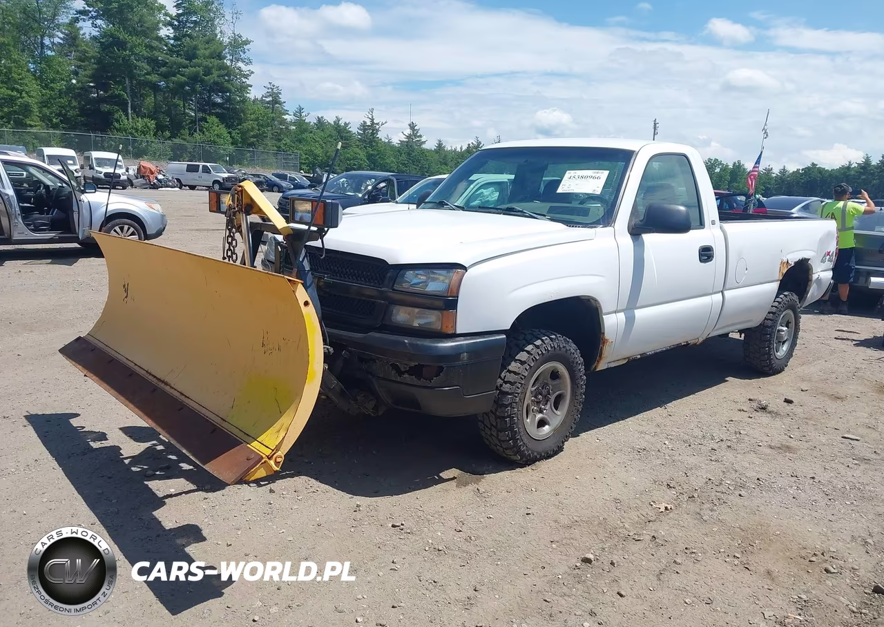 2003 Chevrolet Silverado 1500 Work Truck VIN:1GCEK14V53Z191958 - 2