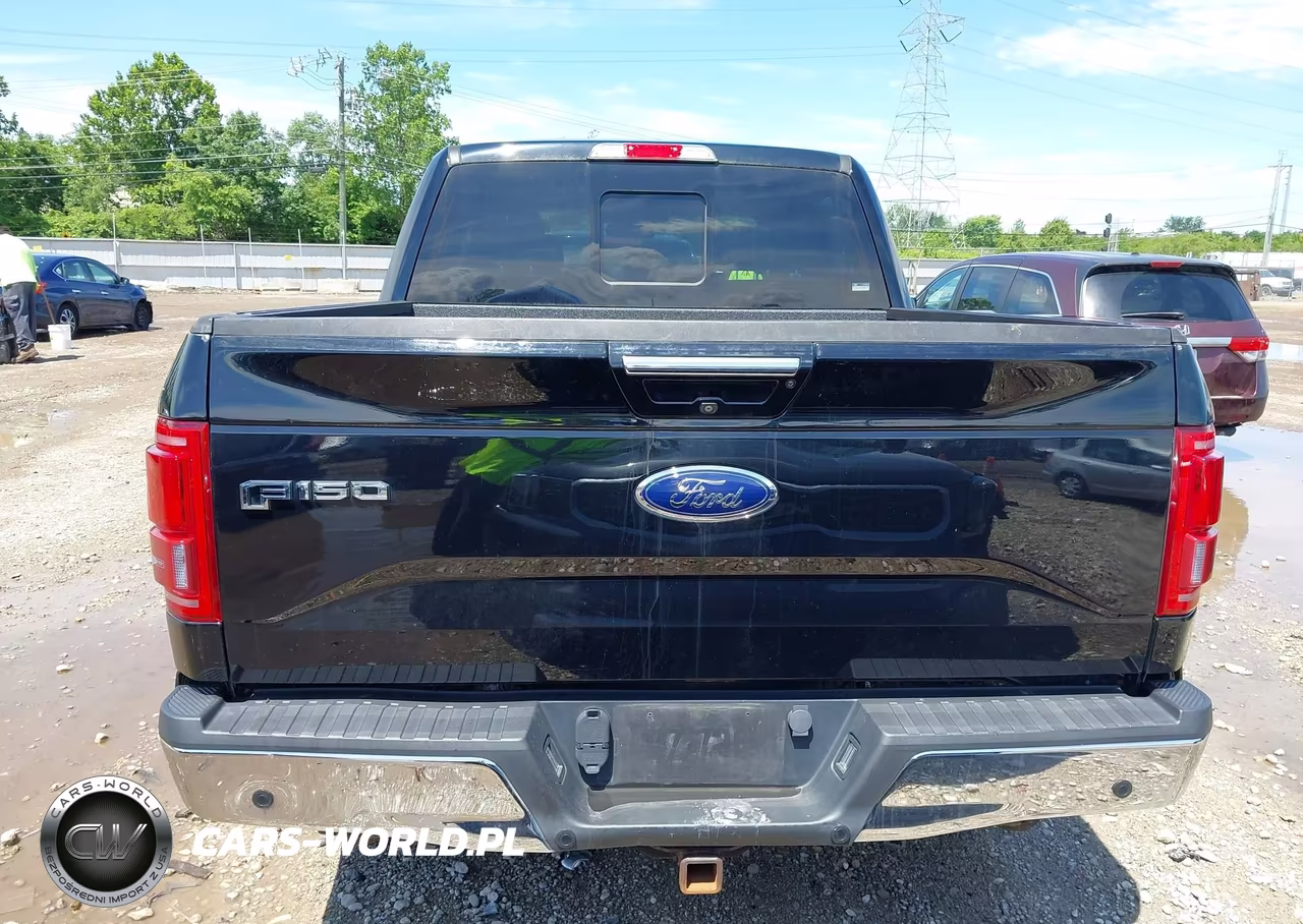 2016 Ford F-150 Lariat VIN:1FTEW1EG0GFD15078 - 16