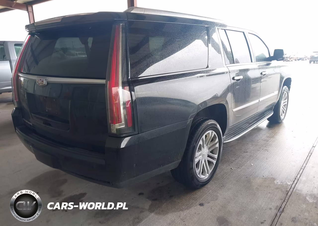 2019 Cadillac Escalade Esv Standard VIN:1GYS3GKJ5KR264337 - 4