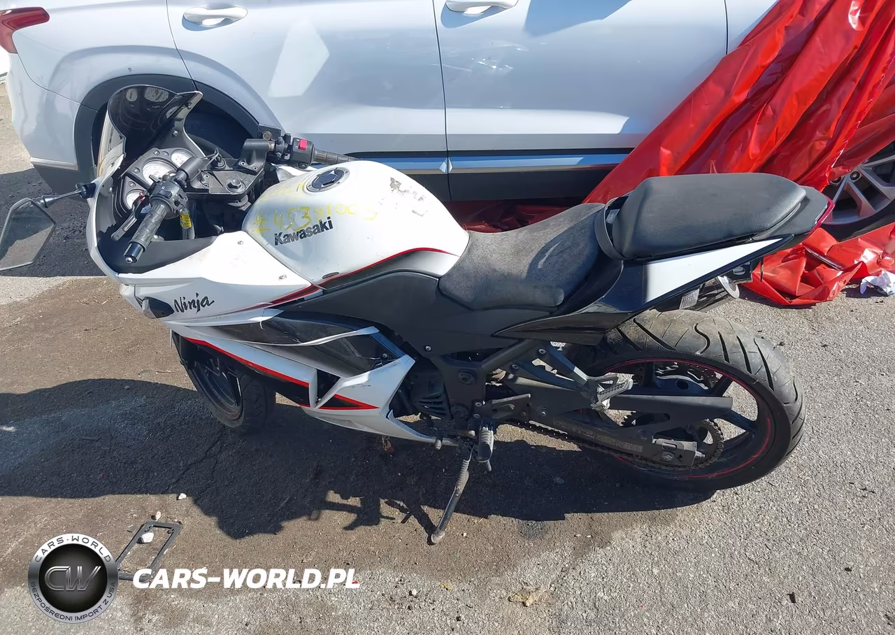 2011 Kawasaki Ex250 J VIN:JKAEXMJ16BDA84401 - 13