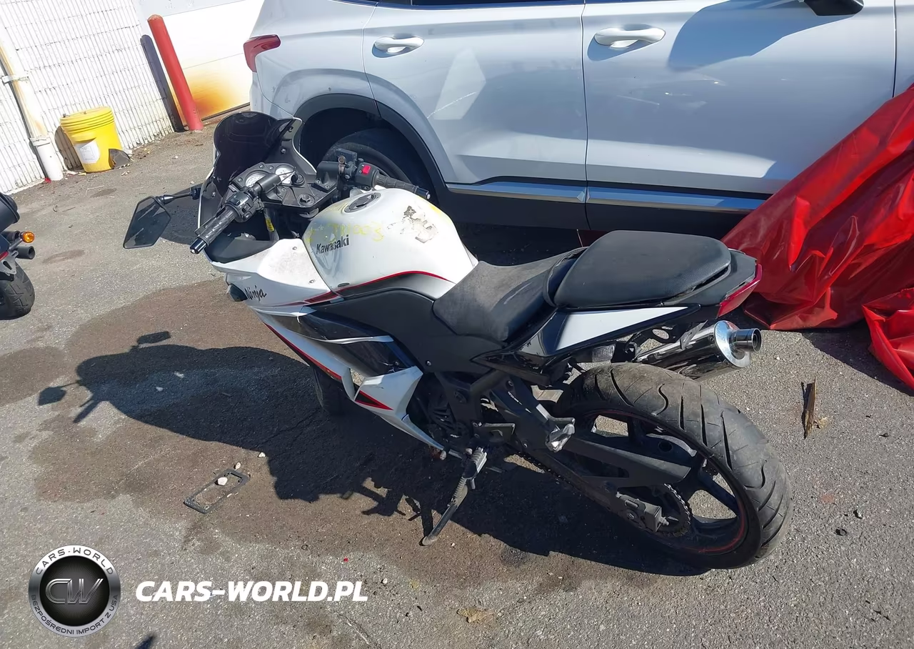 2011 Kawasaki Ex250 J VIN:JKAEXMJ16BDA84401 - 3