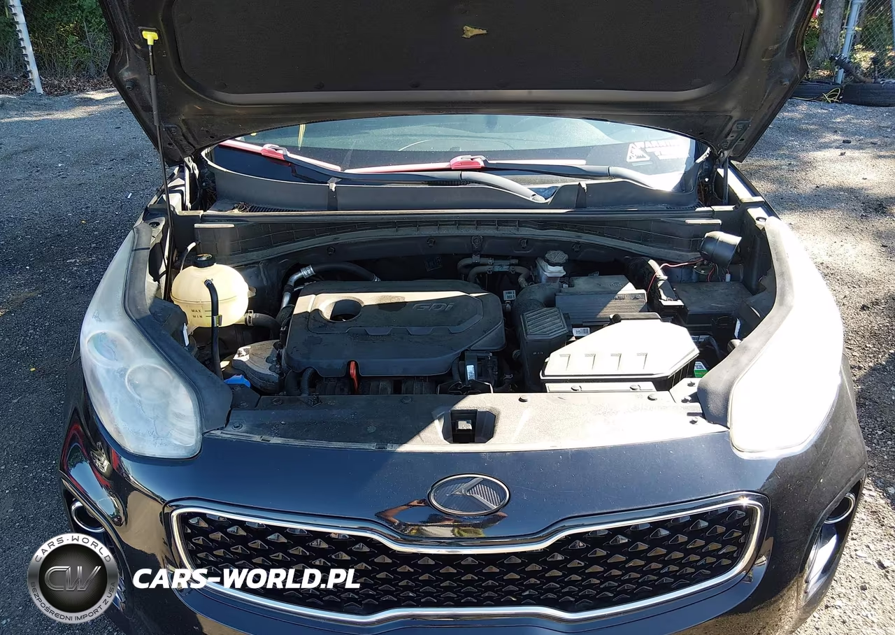 2017 Kia Sportage Lx VIN:KNDPMCAC5H7042826 - 10