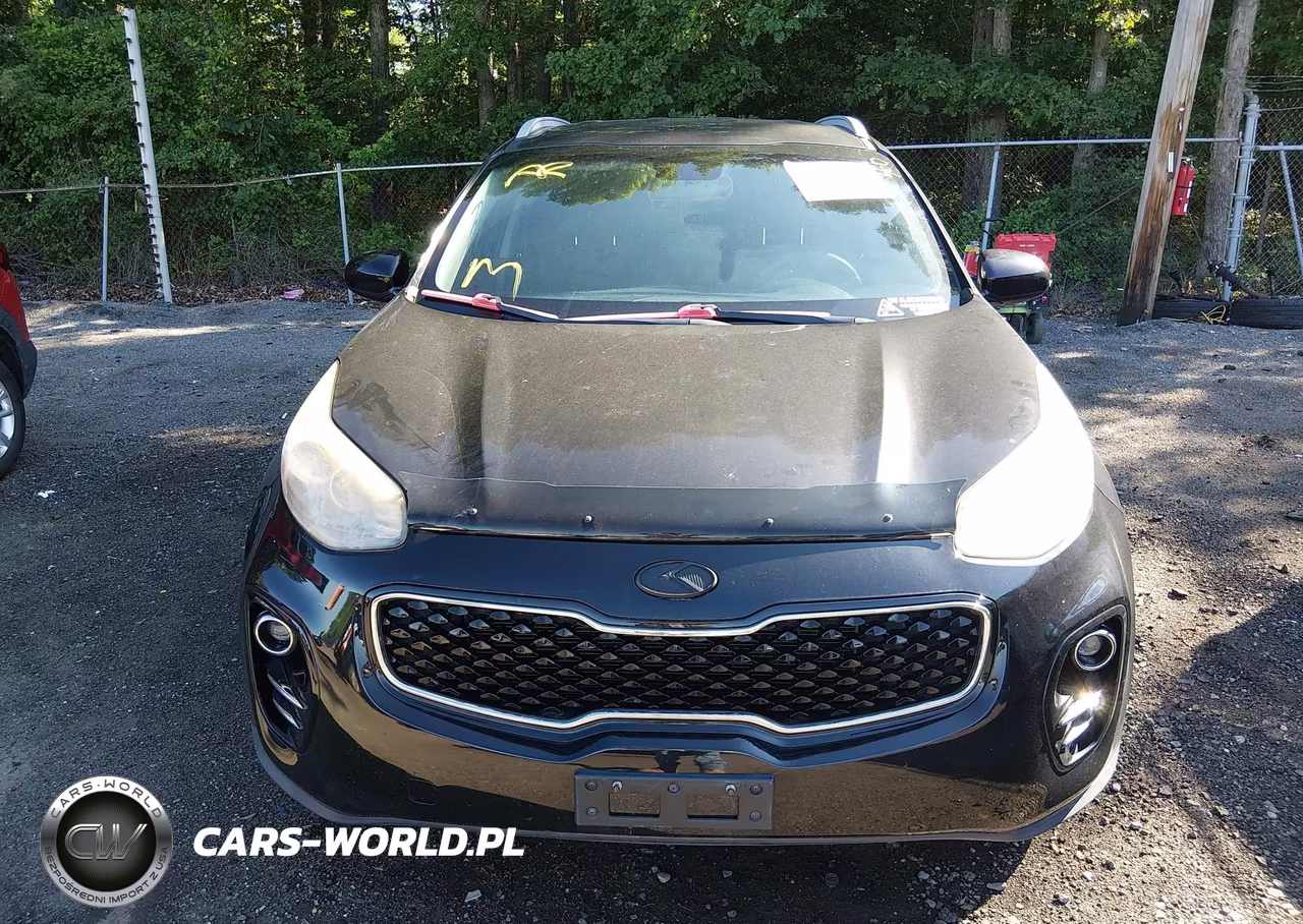 2017 Kia Sportage Lx VIN:KNDPMCAC5H7042826 - 12