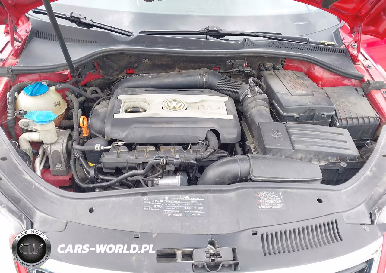 2009 Volkswagen Eos Lux VIN:WVWFA71F09V015780 - 10