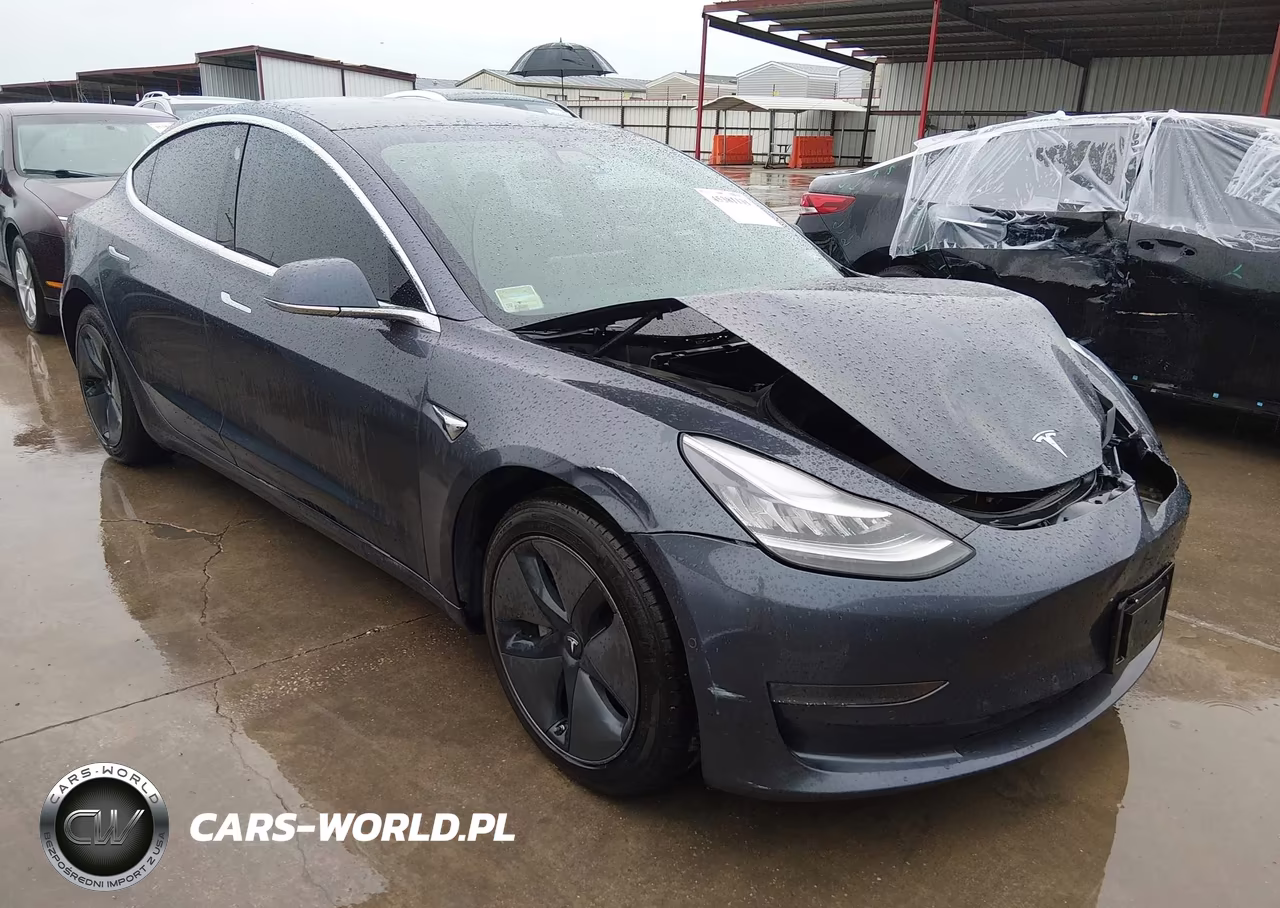 2020 Tesla Model 3 Standard Range Plus Rear-Wheel Drive-Standard Range Rear-Wheel Drive