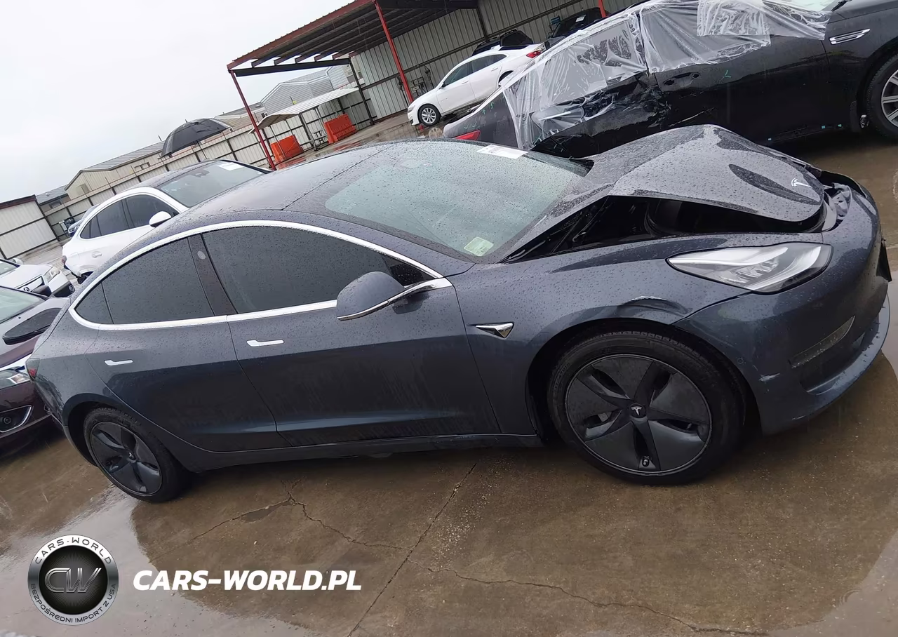 2020 Tesla Model 3 Standard Range Plus Rear-Wheel Drive-Standard Range Rear-Wheel Drive VIN:5YJ3E1EA4LF658223 - 12