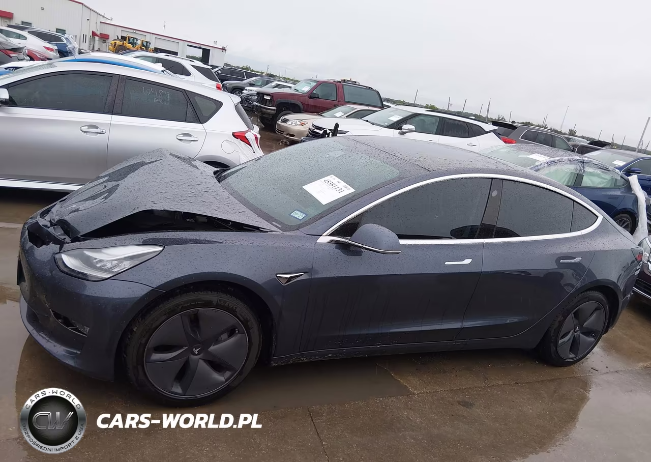2020 Tesla Model 3 Standard Range Plus Rear-Wheel Drive-Standard Range Rear-Wheel Drive VIN:5YJ3E1EA4LF658223 - 13